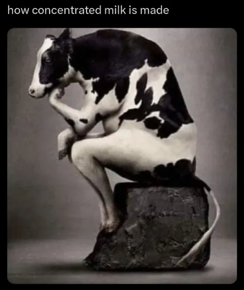 How Concentrated Milk Is Made