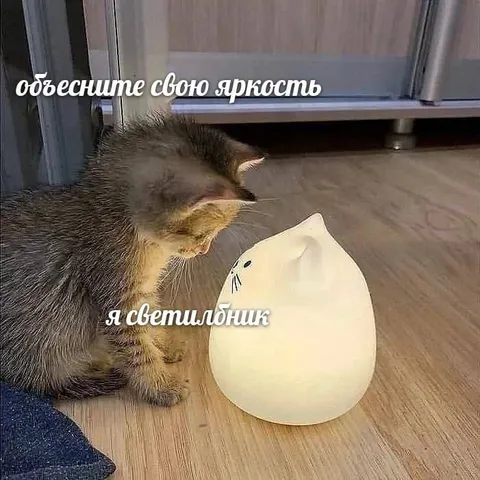 Кот-светильник объясняет свою яркость