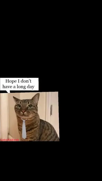 Cat Hopes for a Short Day