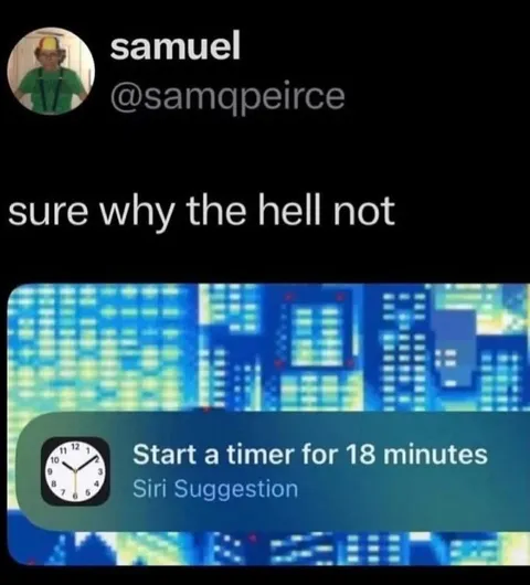 Sure Why the Hell Not Timer