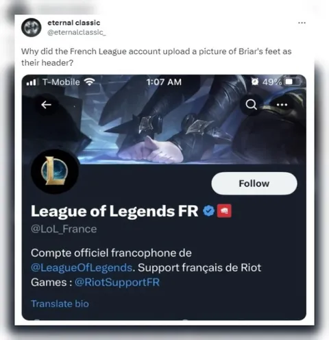 French League Briar Feet Header