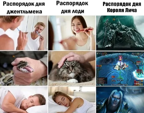 Распорядок дня Короля Лича