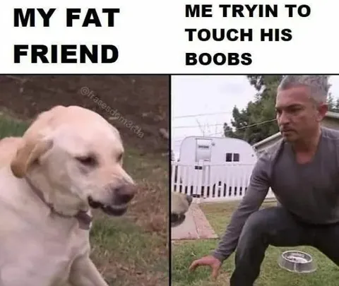 Trying to Touch His Boobs