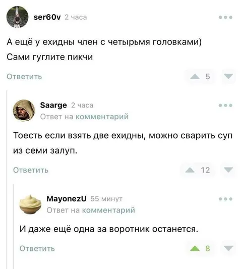 Суп из семи залуп