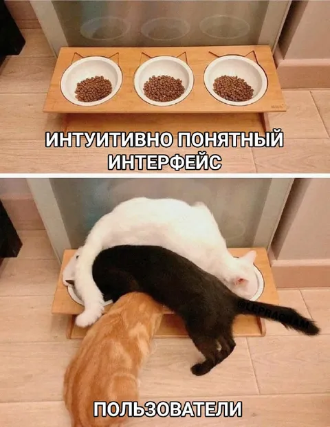 Интуитивно понятный интерфейс для котов