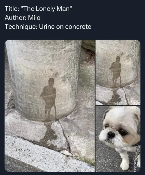 The Lonely Man Urine Art