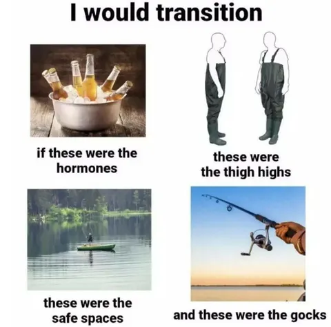 I Would Transition Meme