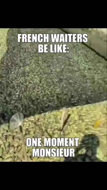 French Waiters Be Like