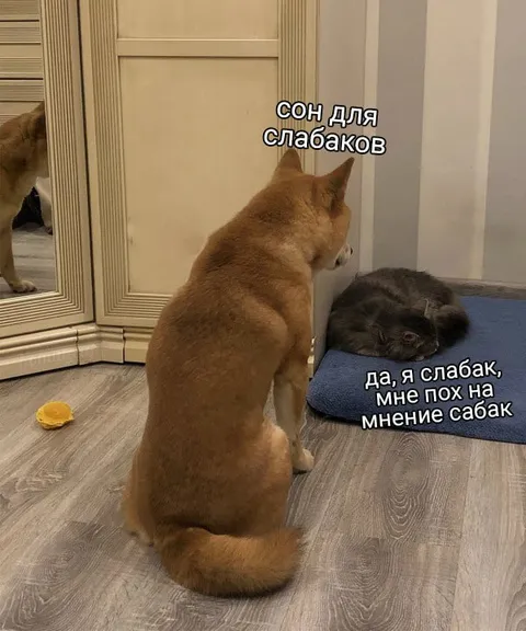 Сон для слабаков