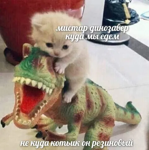 Котёнок едет на резиновом динозавре