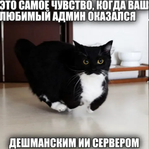 Любимый админ оказался сервером