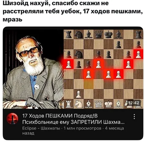 Шизоид играет 17 ходов пешками