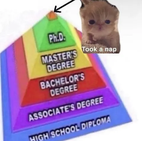 Cat’s Academic Achievement