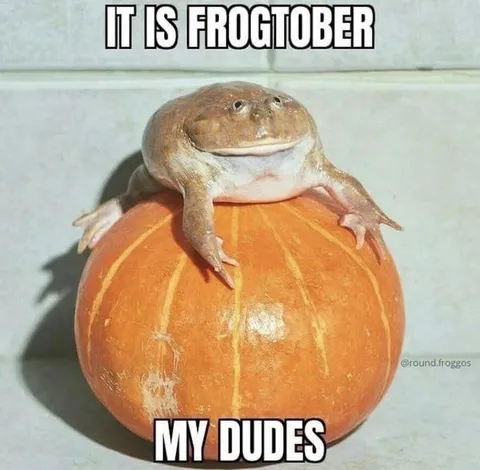 Frog on a Pumpkin