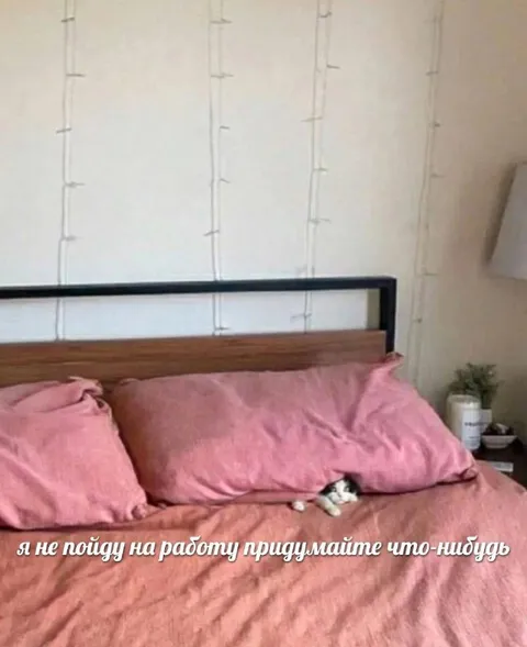 Не пойду на работу