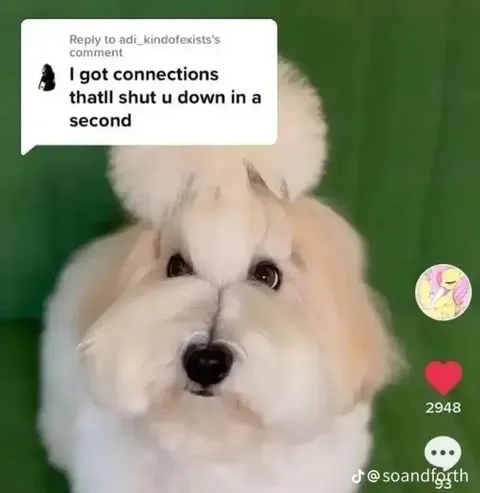 I’ve got connections