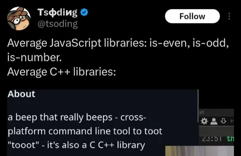 Average C++ Libraries Be Like