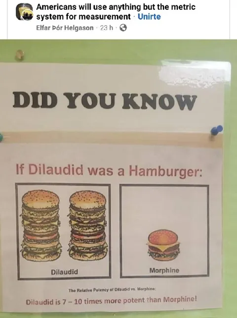 Dilaudid Hamburger Measurement