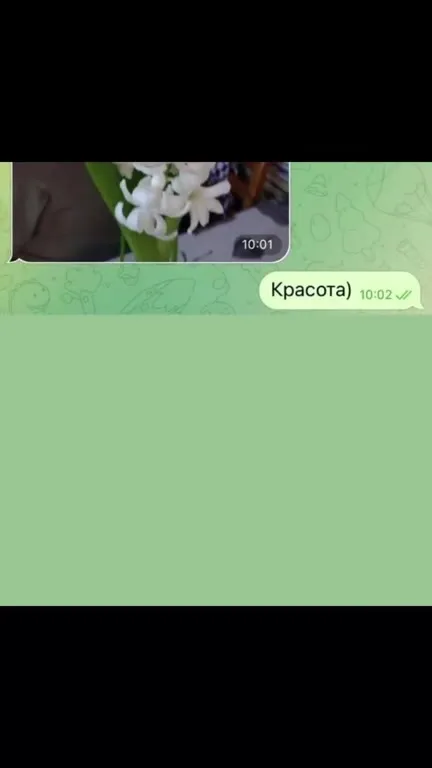 Папа подарил красоту