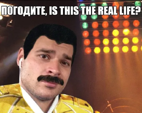 Погодите, Is This the Real Life?