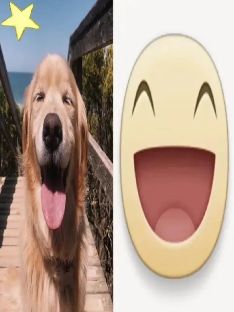 Смеющийся пёс и эмодзи