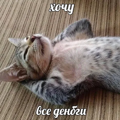 Хочу все деньги