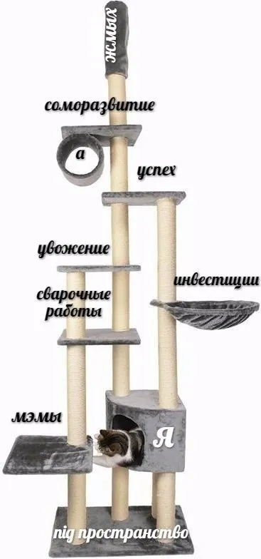 Жизнь как кошачий комплекс