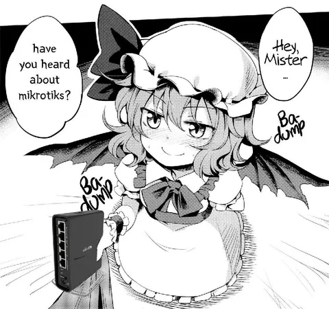 Have You Heard About MikroTiks?