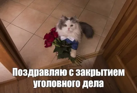 Кот с букетом поздравляет