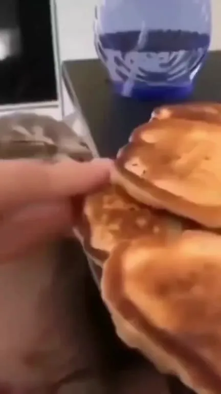 Кот не устоял перед блинами