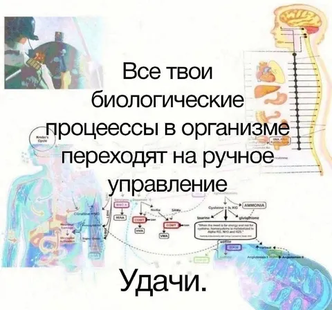 Биологические процессы вручную