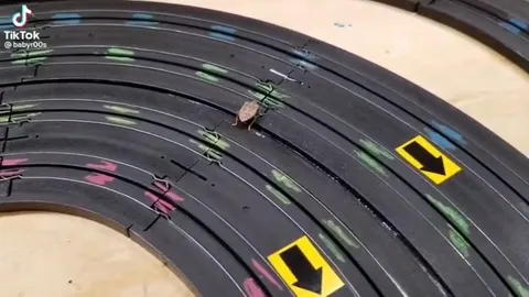 The Boys Roach Race