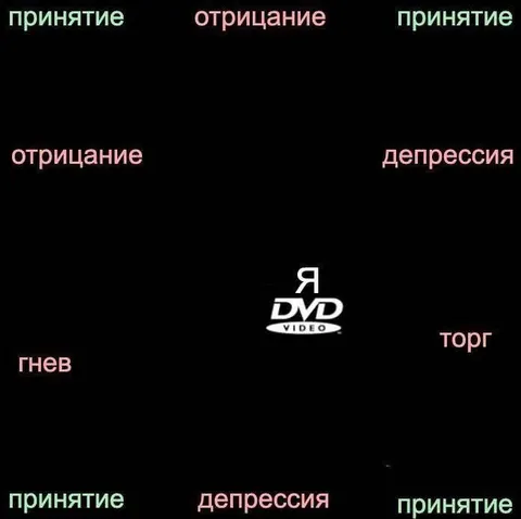 Цикл принятия с DVD Video