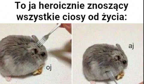 Heroicznie znoszę ciosy od życia