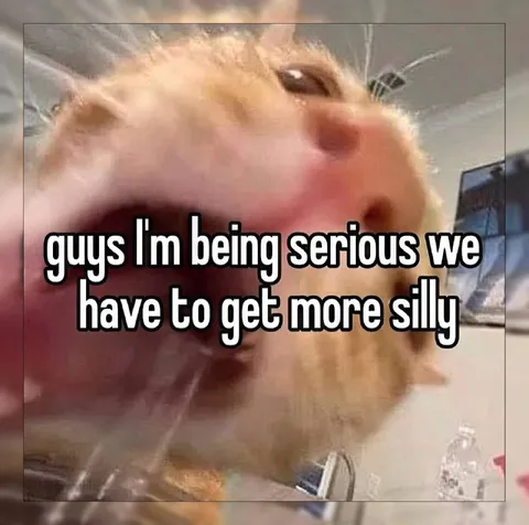 Being Serious Means More Silly