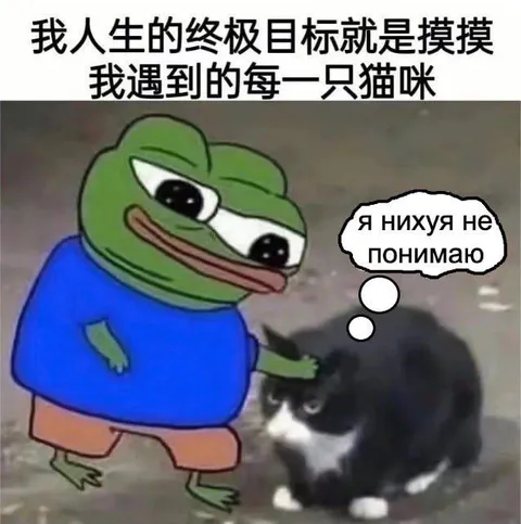 Я нихуя не понимаю про кота