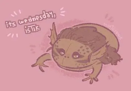 Its Wednesday BTF Frog