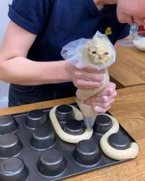 Кот в форме для выпечки