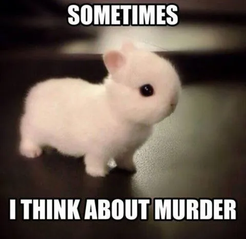 Sometimes I Think About Murder