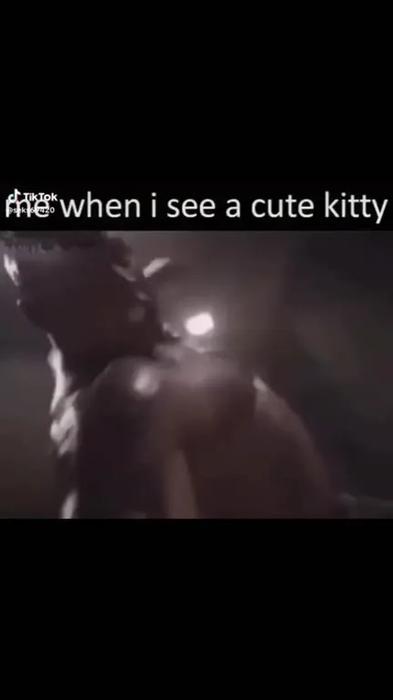 Me When I See a Cute Kitty