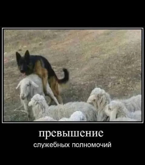 Превышение служебных полномочий