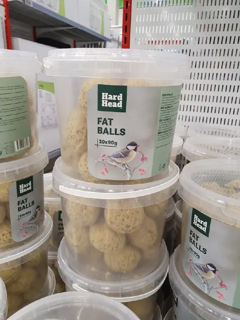 Hard Head Fat Balls