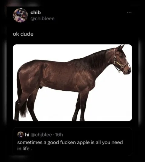 A Good Fucken Apple