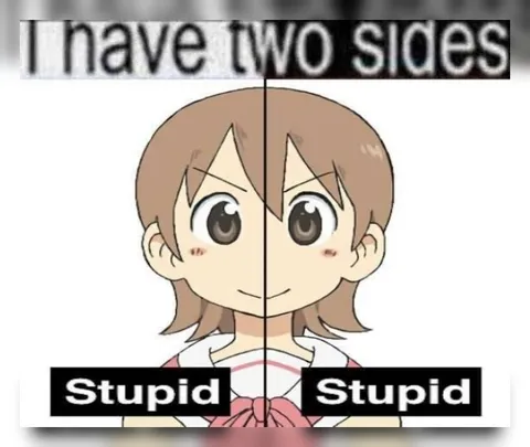 I Have Two Sides Stupid