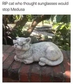 Cat Thought Sunglasses Stop Medusa