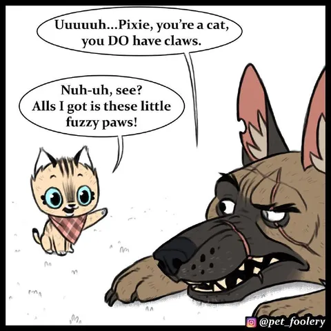 Cat Claims It Has No Claws