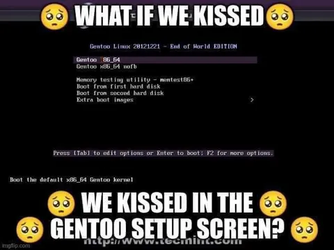 What If We Kissed in Gentoo