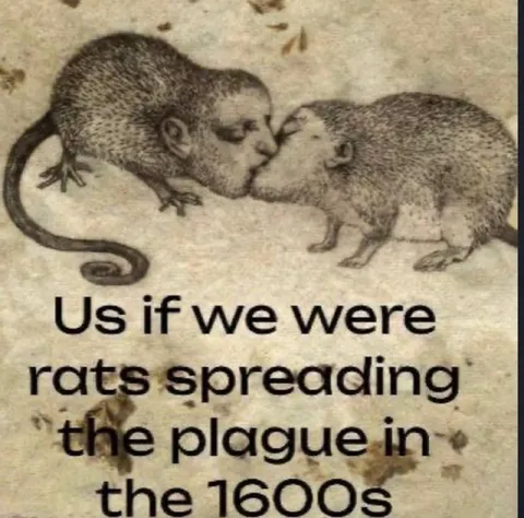 Rats Spreading the Plague