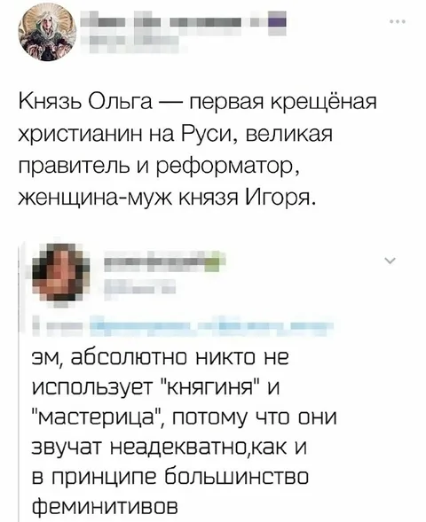 Княгиня и большинство феминитивов
