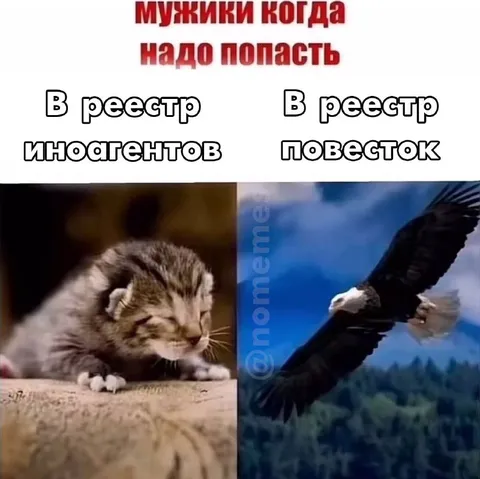 Мужики в двух реестрах